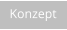 Konzept